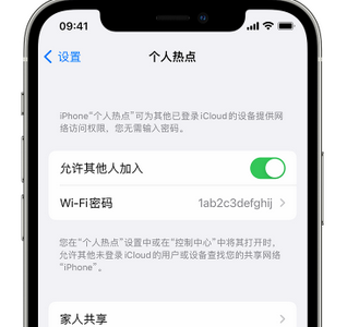 连山apple服务站点分享iPhone上个人热点丢失了怎么办