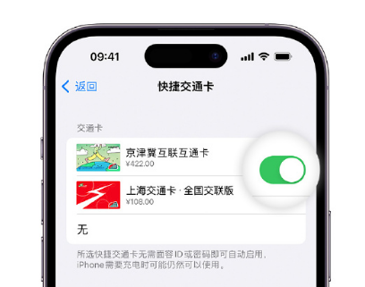 连山apple维修点分享iPhone上更换Apple Pay快捷交通卡手绘卡面 