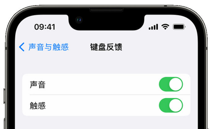 连山苹果手机维修分享iPhone 14触感键盘使用方法 