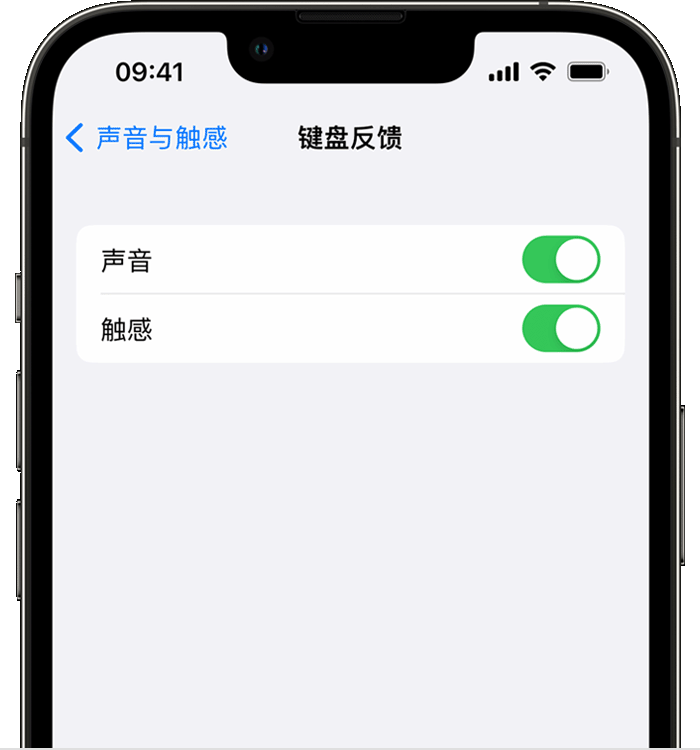 连山苹果14维修店分享如何在 iPhone 14 机型中使用触感键盘 