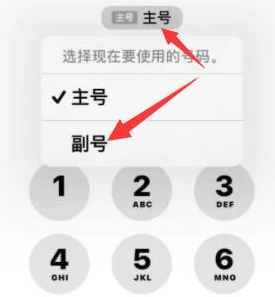 连山苹果14维修店分享iPhone 14 Pro Max使用副卡打电话的方法 