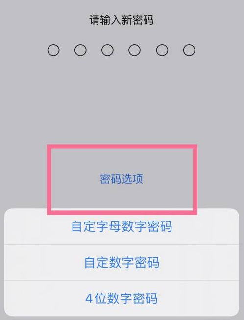 连山苹果14维修分享iPhone 14plus设置密码的方法 