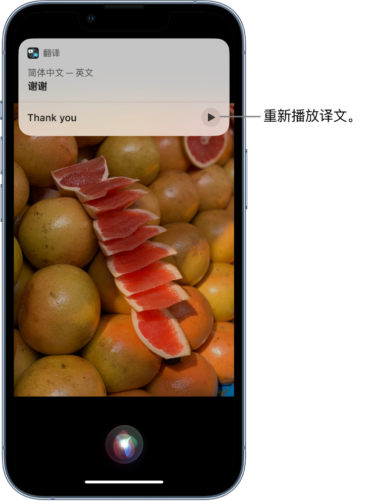 连山苹果14维修分享 iPhone 14 机型中使用 Siri：了解 Siri 能帮你做什么 