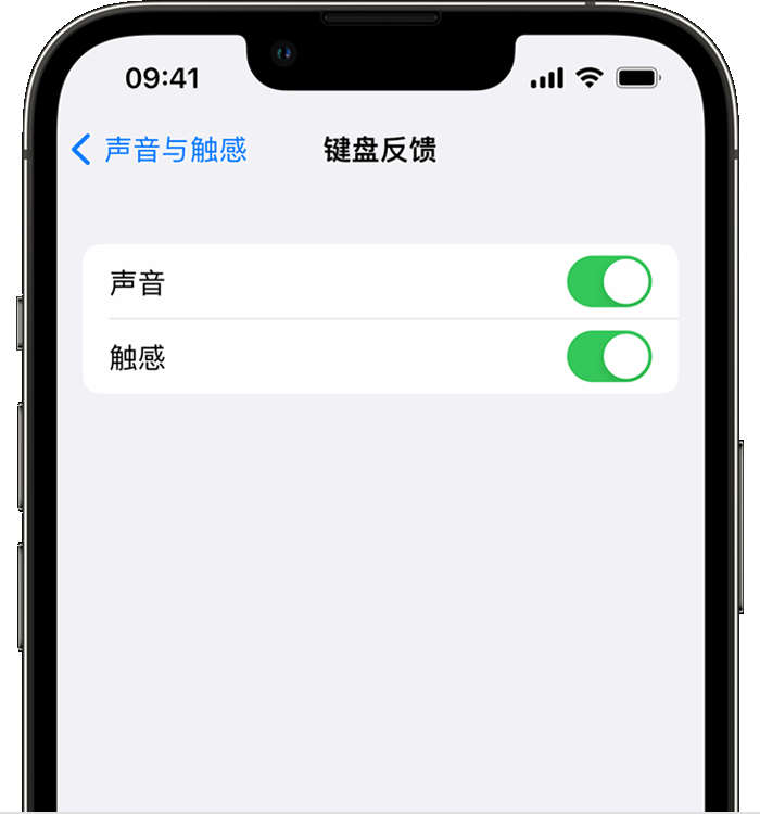 连山苹果14维修分享iPhone 14 系列机型如何开启键盘声音或触感反馈 