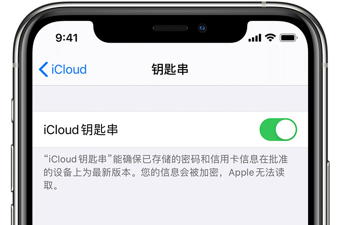 连山苹果手机维修分享在 iPhone 上开启 iCloud 钥匙串之后会储存哪些信息 