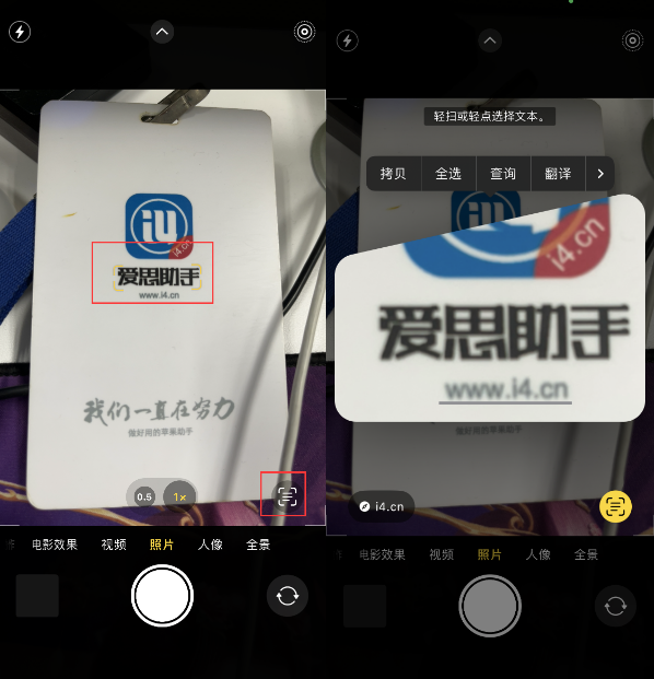连山苹果手机维修分享升级iOS 16后如何通过相机翻译文本 