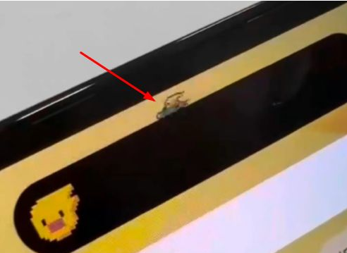 连山苹果14维修分享iPhone 14 Pro Max灵动岛怎么养宠物 
