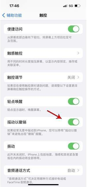 连山苹果手机维修分享iPhone手机如何设置摇一摇删除文字 