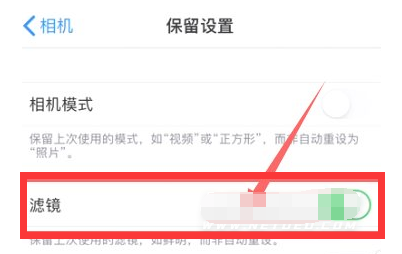 连山苹果13维修分享iPhone13拍照有绿点是怎么回事 