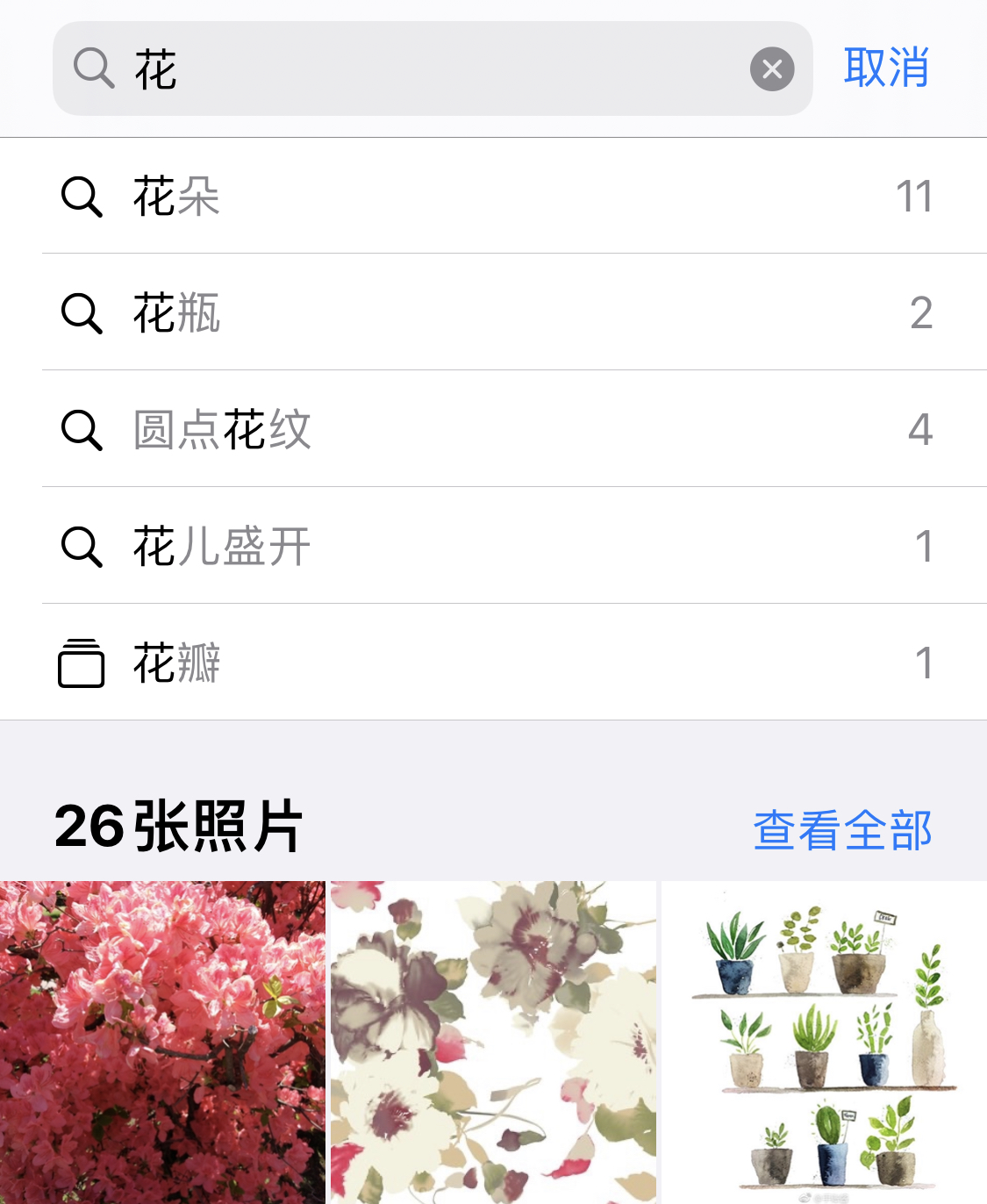 连山苹果手机维修分享iPhone 小技巧 