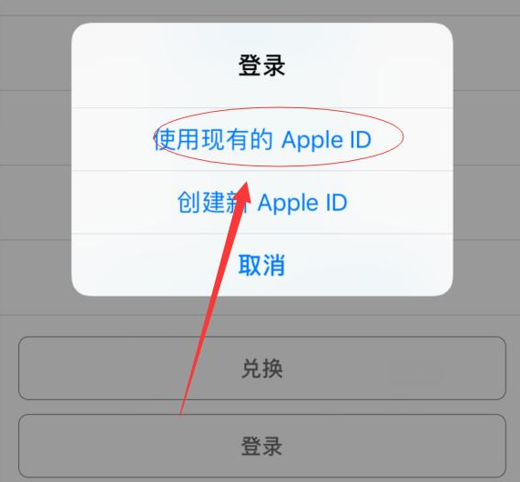 连山苹果手机维修分享两台iPhone设备可以同时登录一个Apple ID吗 