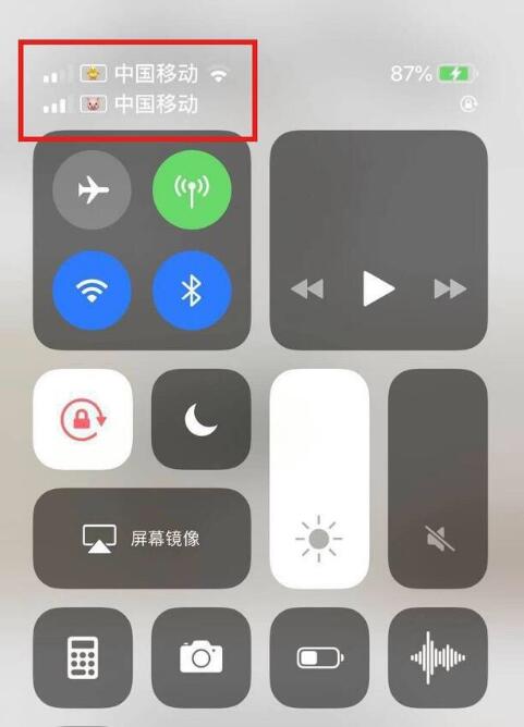 连山苹果手机维修分享为 iPhone 12 双卡设置标签 