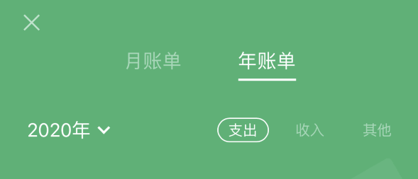连山苹果手机维修分享如何在 iPhone 上查看支付宝和微信年支出账单 